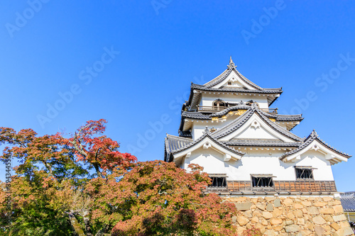                                         Autumn Hikone castle Shiga-ken Hikone city