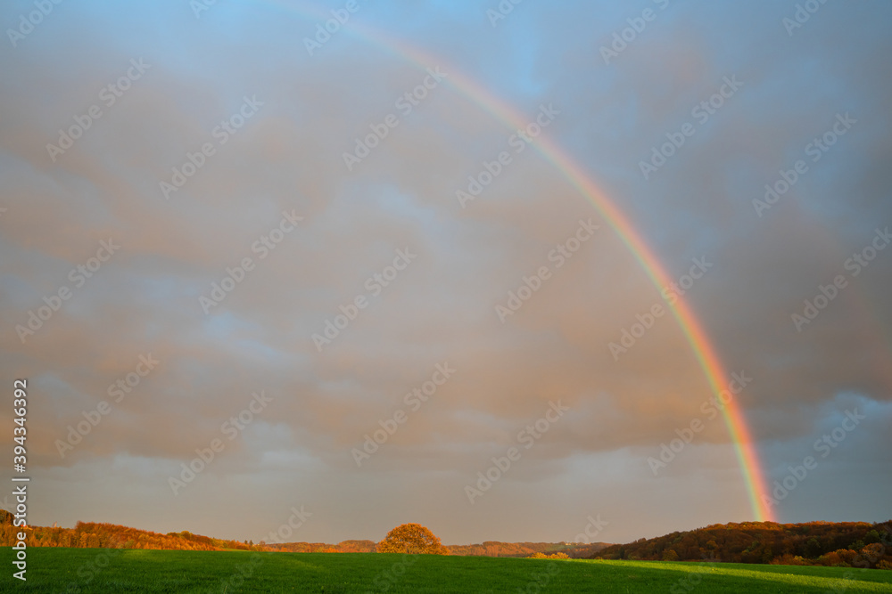 Fototapeta premium Landscape with rainbow