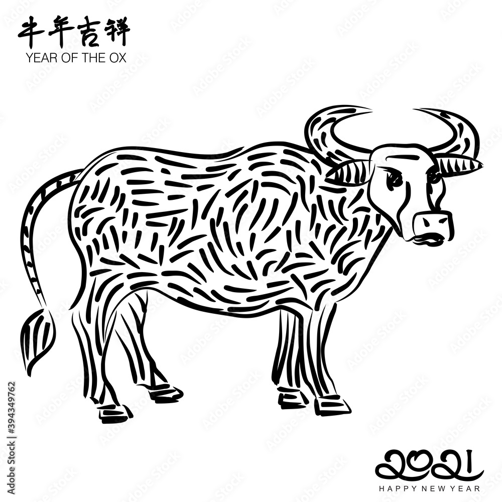 Fototapeta premium An abstract illustration of the 2021 Chinese New Year of Ox in black brush strokes on a white isolated background 