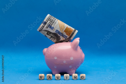 Pig piggy bank and the word savings on a blue background. Saving money. The photo