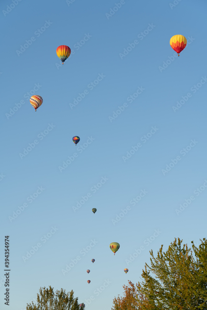 Fototapeta premium hot air balloon in the sky