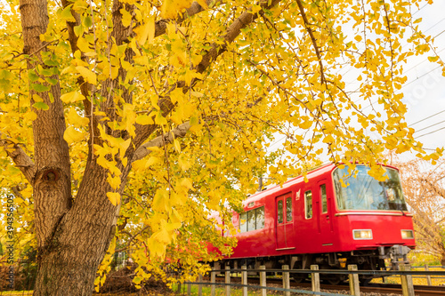 黄葉したイチョウの木と赤い電車（横構図）