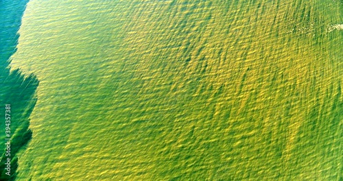 Aerial, Cyanobacteria On Ocean Surface, Baltic Sea photo