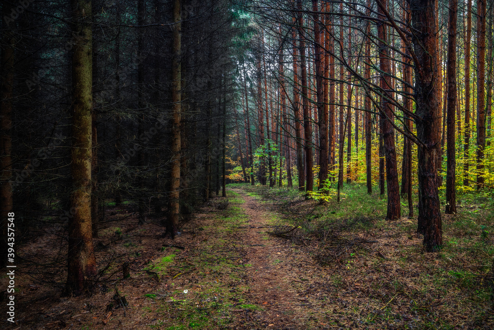 Obraz premium front line - Frontlinie