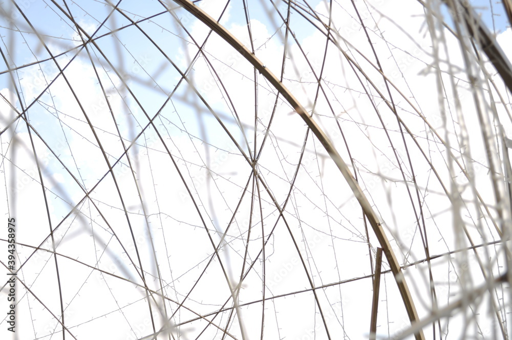 Fototapeta premium Abstract flashing wires on sky background