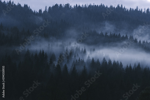 Misty landscape in the Carpathians