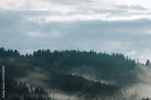 Misty landscape in the Carpathians © Iryna