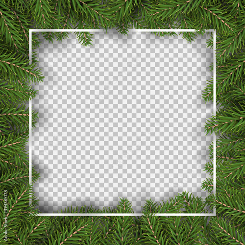 christmas fir tree square border for decor and picture frame vector illustration