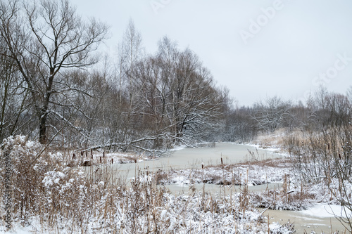 Wallpaper Mural Riverbed covered with ice among the leafless trees and dry cattails on the shore in winter landscape Torontodigital.ca