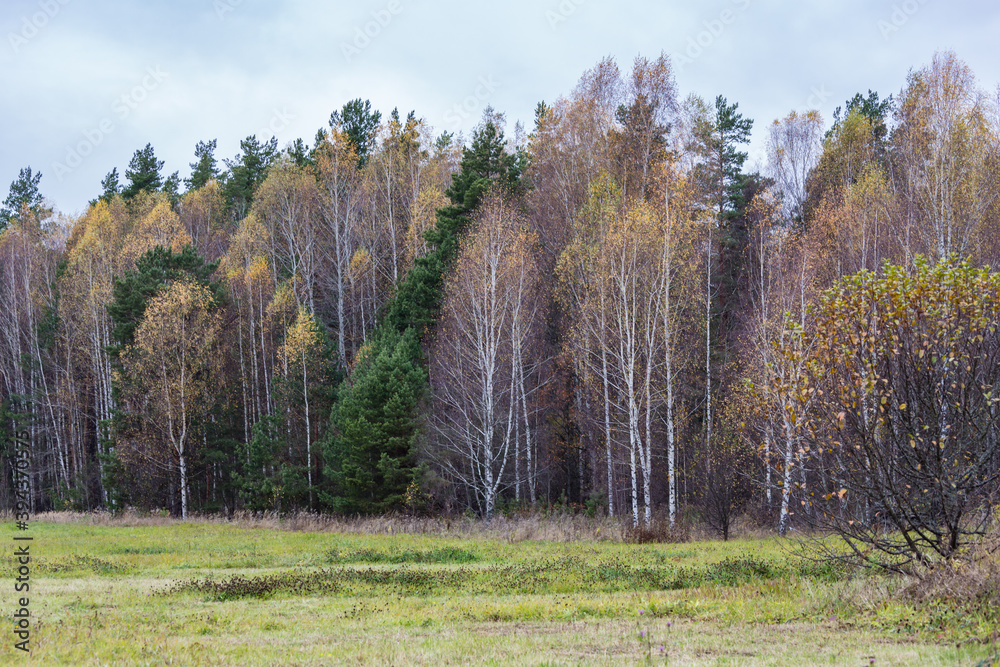 Fototapeta premium Fall landscape on the gloomy day