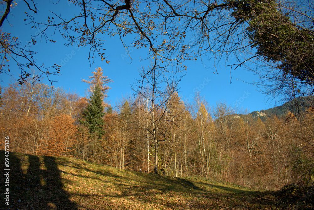 Fototapeta premium Wunderschöne Herbststimmung in Triesenberg in Liechtenstein 18.11.2020