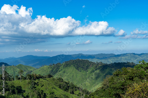beautiful view of tropical forest in Mae Wong National Park  Thailand