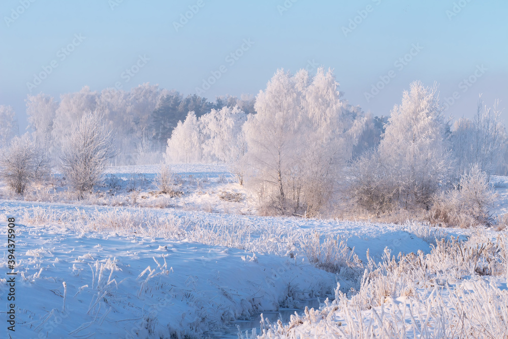Hoarfrost weather at winter. Snowy trees on frozen meadow. Frost and snow in scenic winter nature landscape