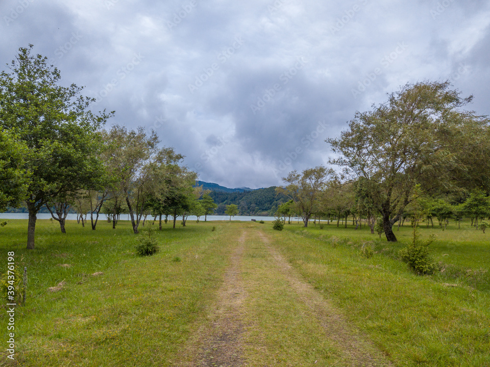 Path on the Grass with Small Trees on Both Sides, on the Furnas Lake - Furnas Lagoon - São Miguel Island in the Azores