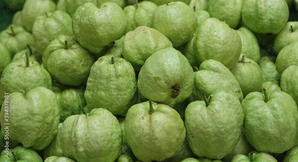 A lot of guava total division to sell in the markets. A lot of guava total division to sell in the markets.