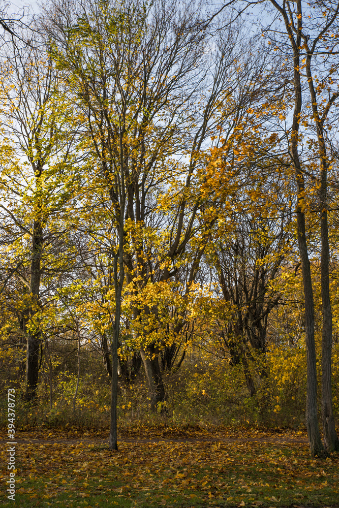 Fototapeta premium Skåne landscape in and around Malmö, Sweden in autumn