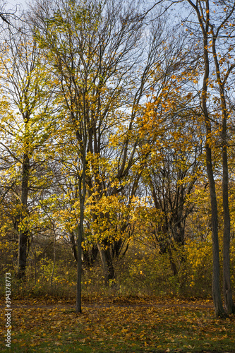 Sk  ne landscape in and around Malm    Sweden in autumn