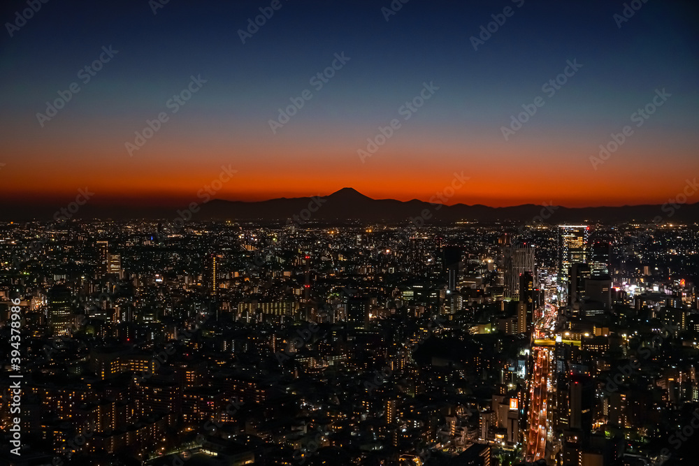 Fototapeta premium tokyo