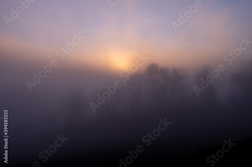 paysage brouillard