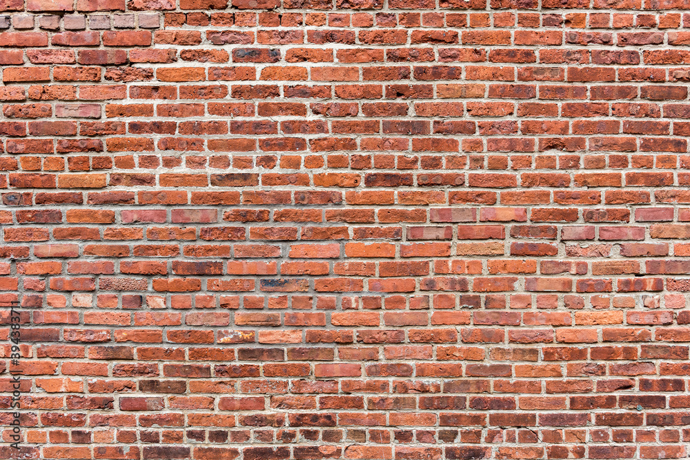 Fototapeta premium Brick wall background. Old texture brick wall.