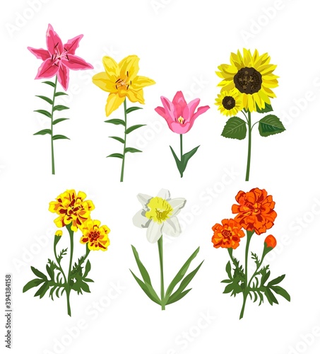 In side view hand drawn flowers collection. Vector illustration flowers set isolated on white background for design