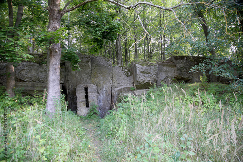 Military bunker in the forest WW2, Kaunas county, Vaisvydava photo