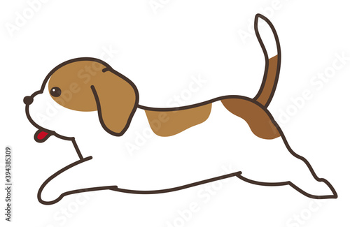 走る犬　ビーグル犬