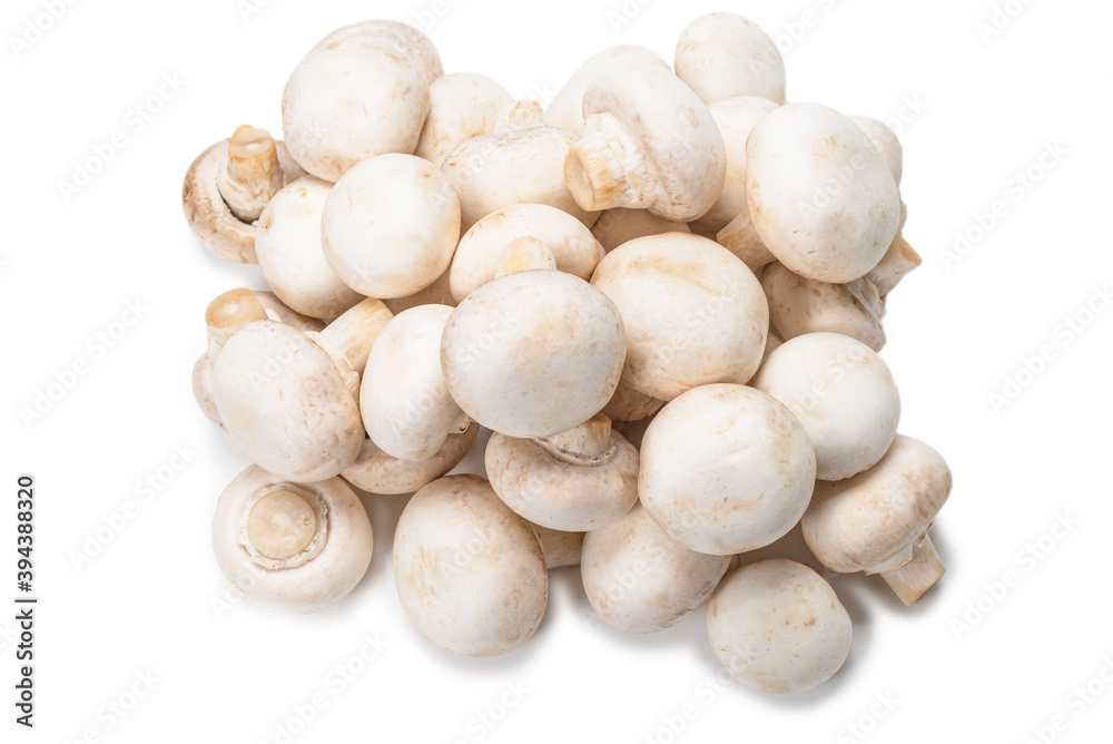 Champignon mushroom isolated on white background.