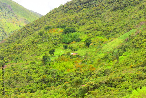 Home in the middle of nature Hogar en medio de la naturaleza