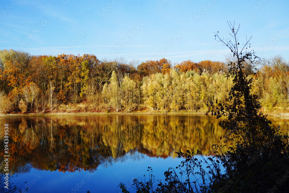 tranquil landscape at a lake in autumn