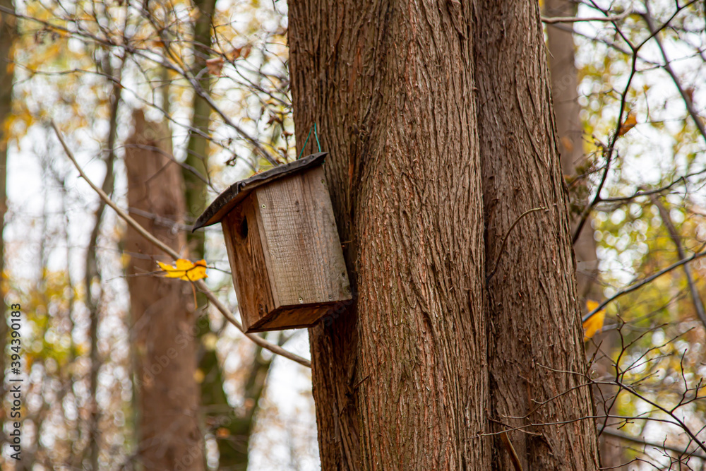 wooden birdhouse on a tree in a forest wooden birdhouse on a tree in a forest