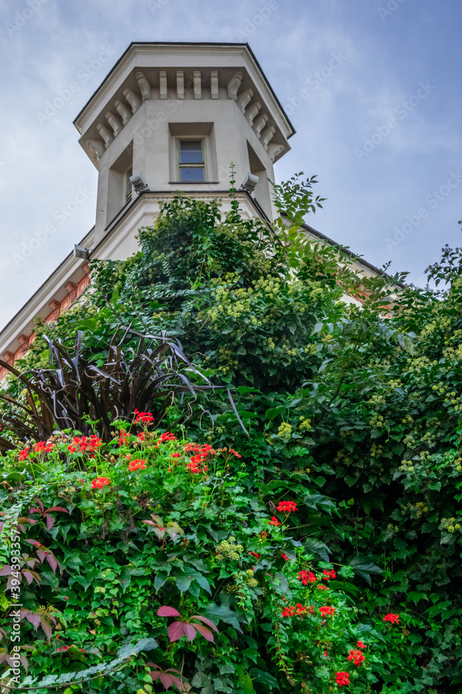 Castle in Bielsko-Biala in plants and flowers, Poland, Polska, tower Castle in Bielsko-Biala in plants and flowers, Poland, Polska, tower