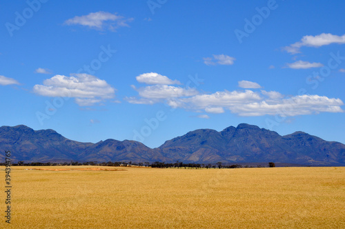 Rural countryside with the Stirling Range as backdrop photo