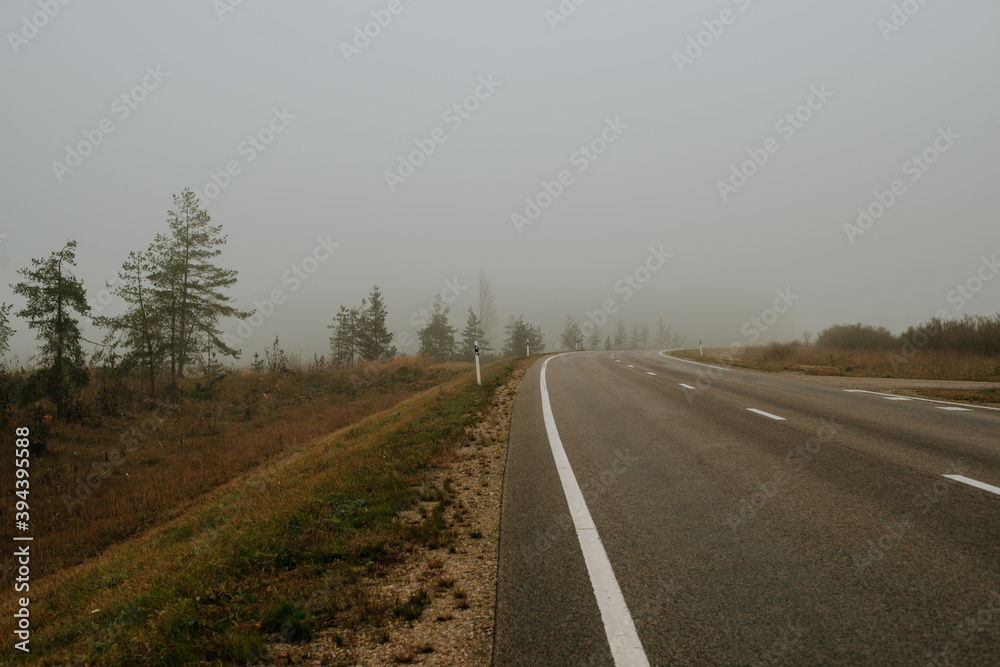 road through the forest