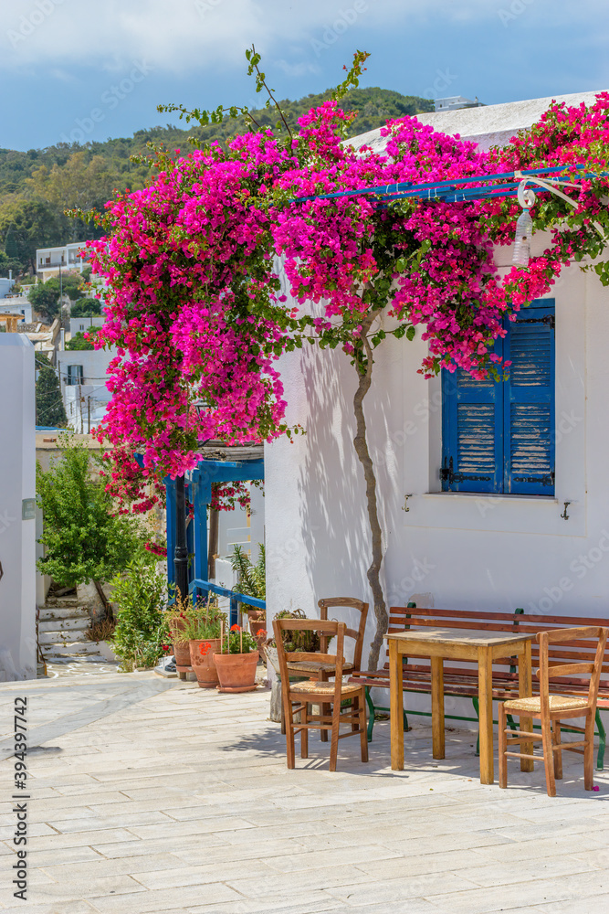 Fototapeta premium Traditional Cycladitic alley with whitewashed houses and a blooming bougainvillea flowers in lefkes Paros island, Greece