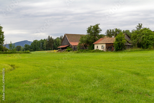 Bavarian Forest scenery