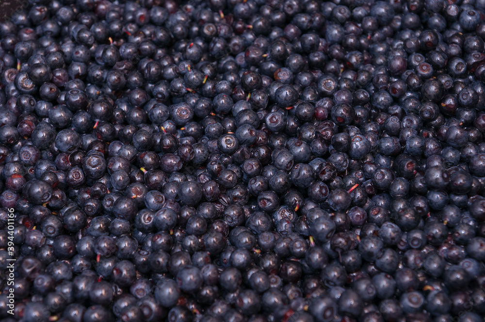 Top view of lots of blueberries Top view of lots of blueberries