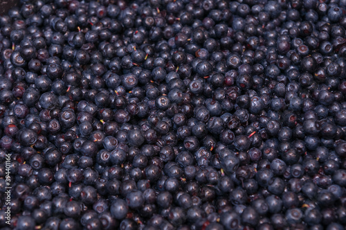 Top view of lots of blueberries