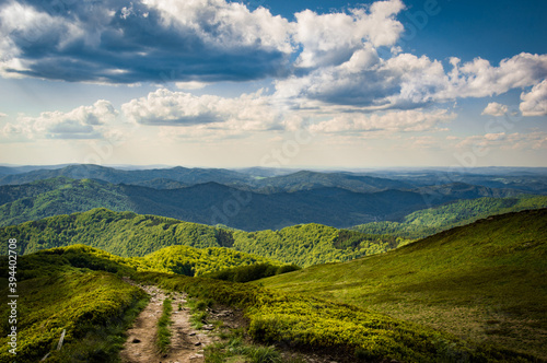 Fototapeta Naklejka Na Ścianę i Meble -  Bieszczady, Połonina Wetlińska.