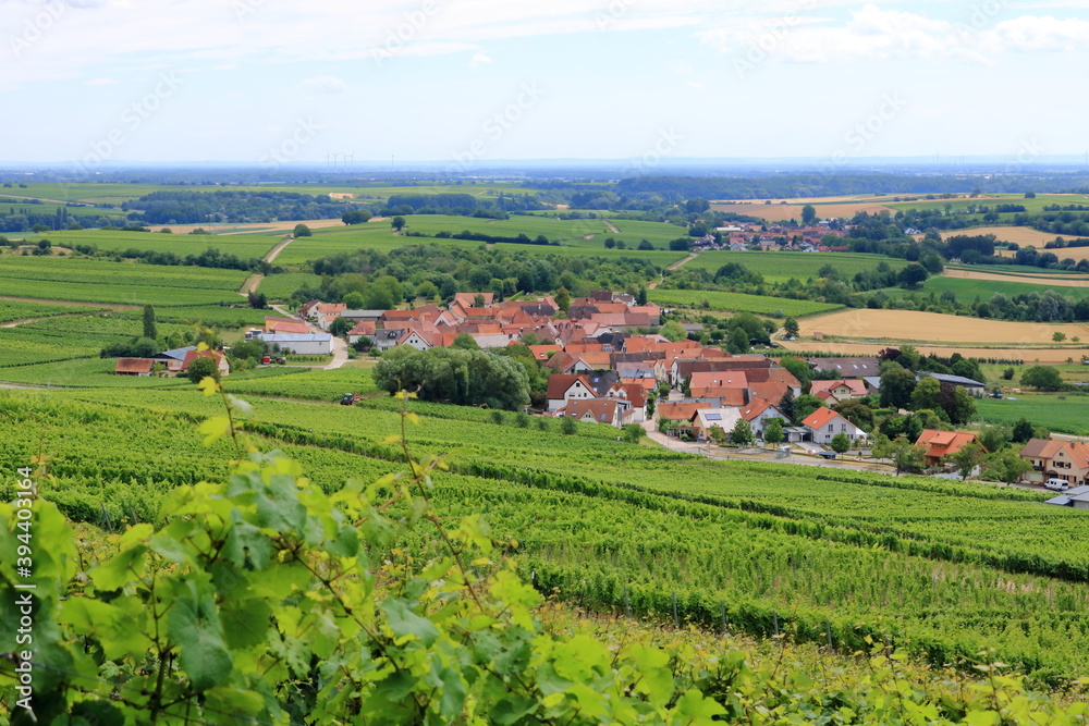 View from the vineyards to Pleisweiler on the german wine route in the palatinate