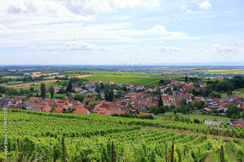 Fototapeta Naklejka Na Ścianę i Meble -  View from the vineyards to Pleisweiler on the german wine route in the palatinate
