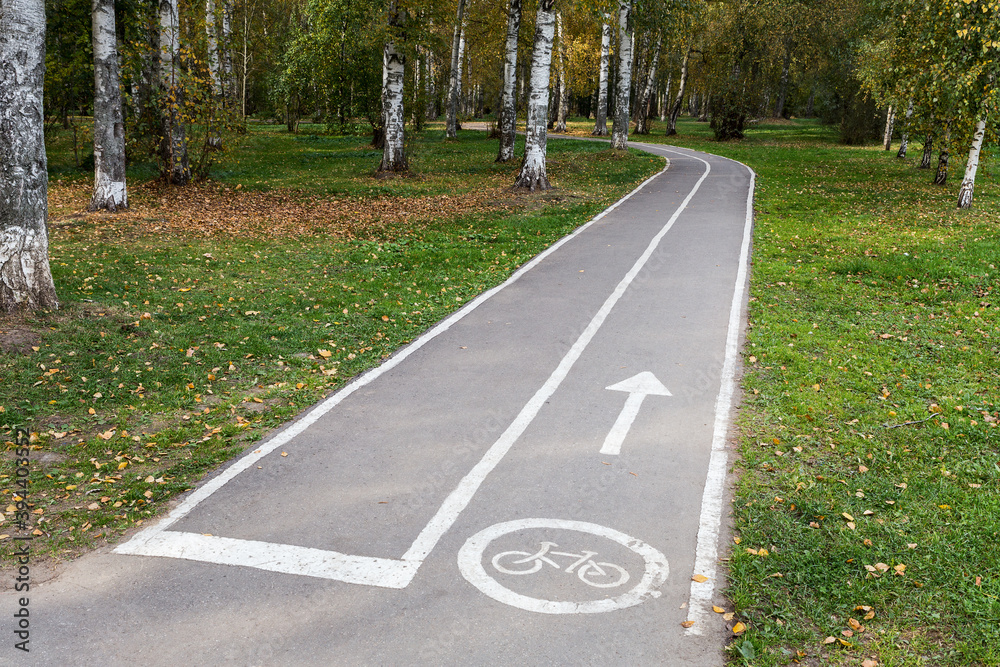Obraz premium Empty asphalted bike path with an icon and arrow in a public city park turns into a forest.
