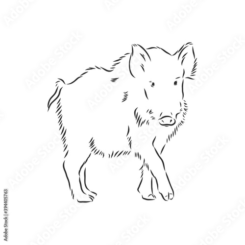 Sketch grunge wild boar in the profile.Stock vector illustration., wild boar vector sketch illustration