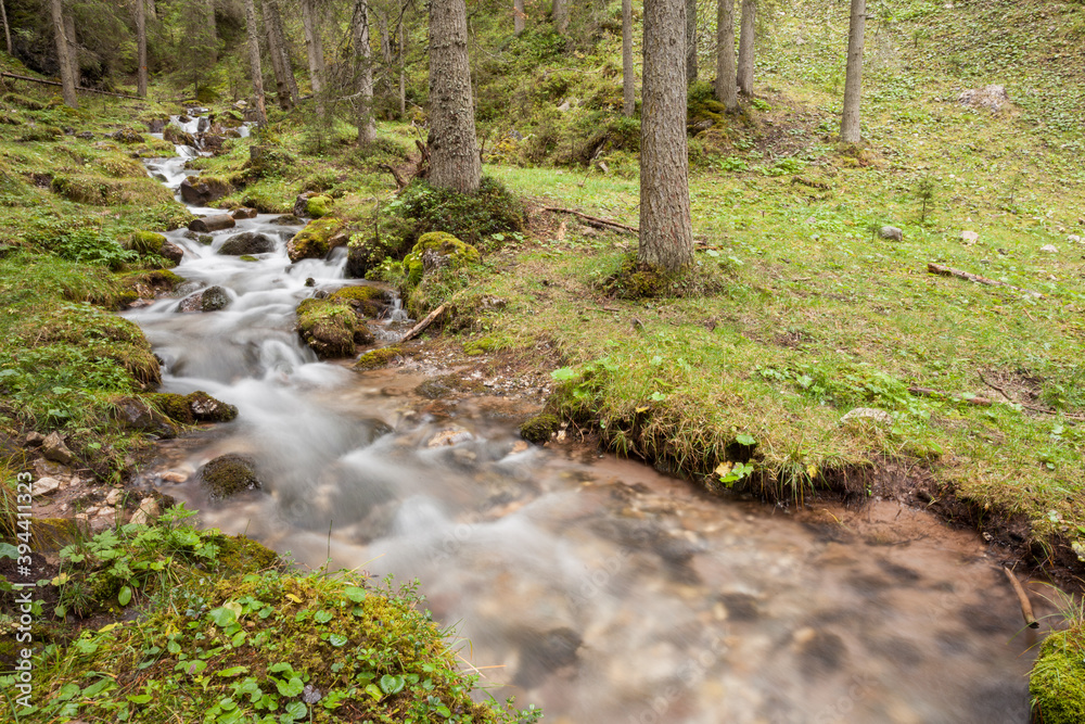 A mountain stream flows in the misty forest