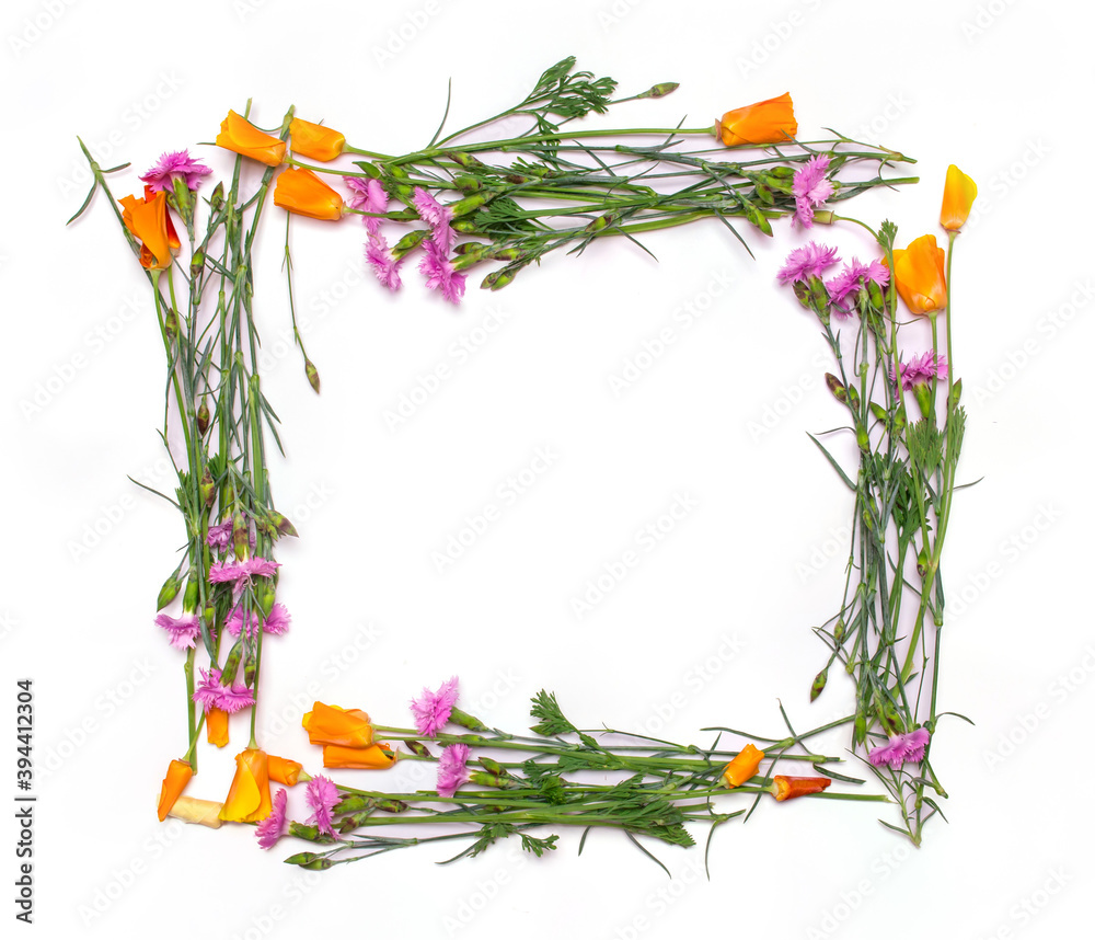 Frame of delicate spring flowers isolated on white background. View from above, flat lay, top view