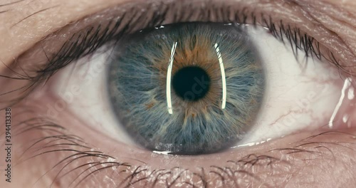 Close up zoom in to the iris