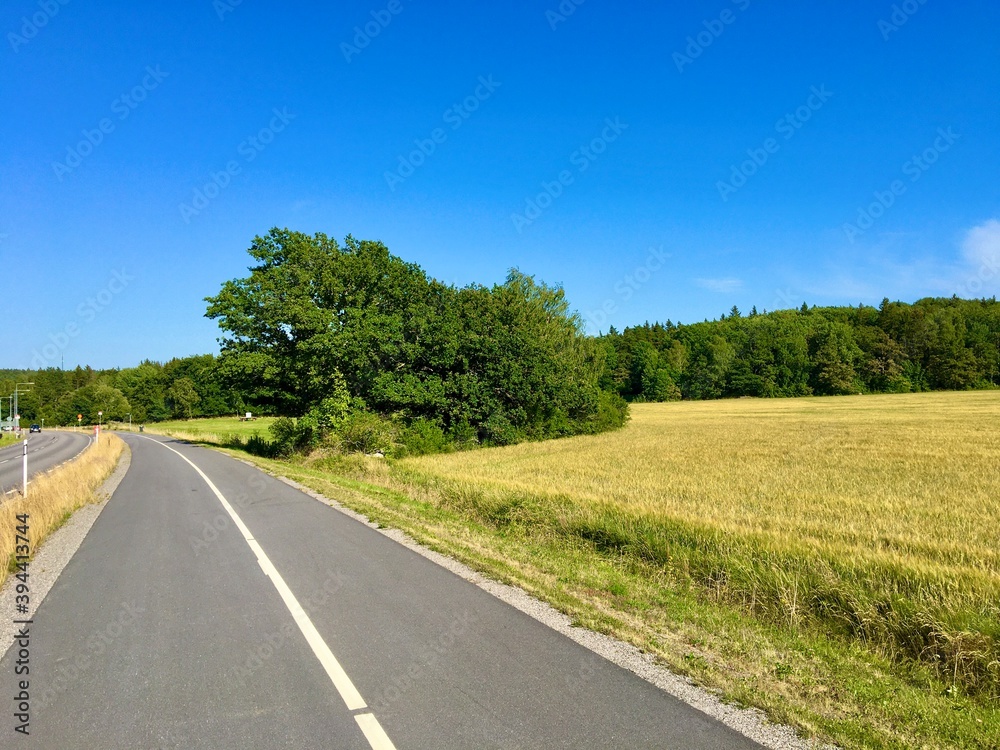 Fototapeta premium A pretty and new road next to a rural field and a shrubbery. Green forest in the background. No cars and all clear blue sky. Nice climate. Jarfalla, Stockholm, Sweden.