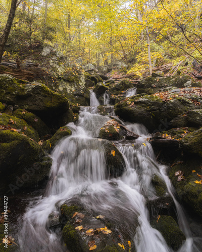 waterfall in the forest