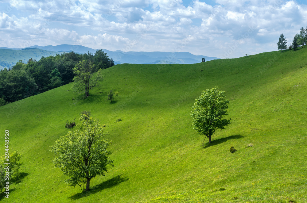 Beautiful scenery of the green mountain hill. Mountain pasture or meadow with fresh green juice grass and garden trees. View of a mountain valley in summer.