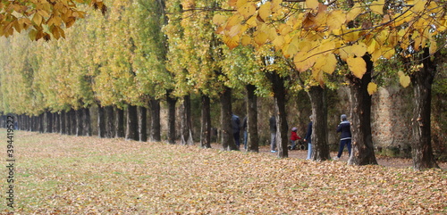 Gruppo di persone che cammina sul sentiero in campagna in autunno photo